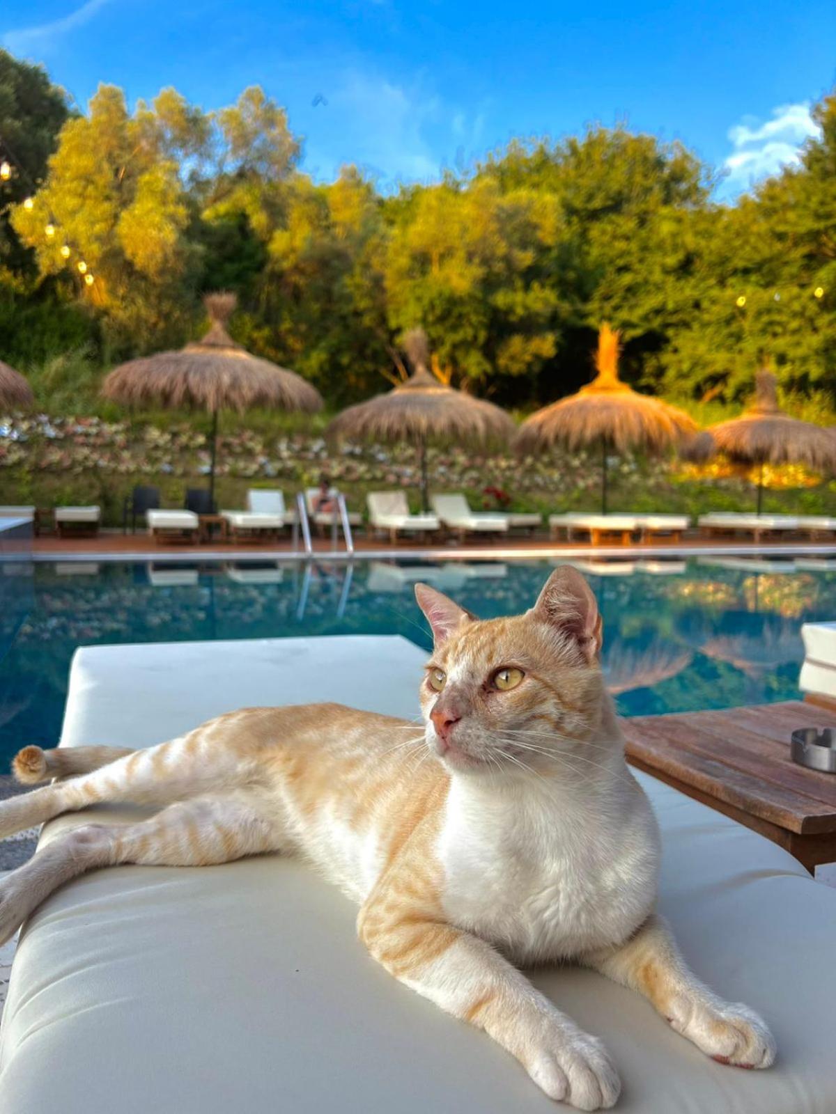 Hotel Olivia's Hill 4*